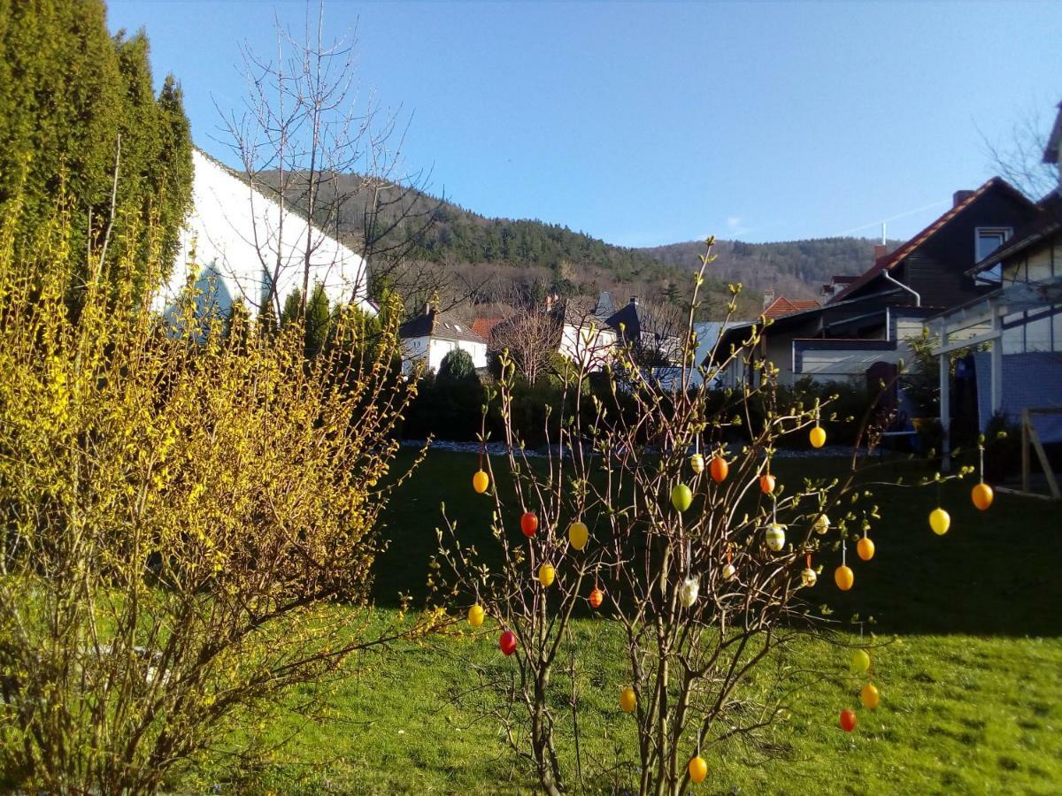 Apartamento Brockenferien Bad Harzburg Exterior foto